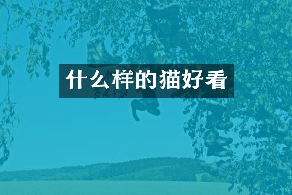 什么样的猫好看