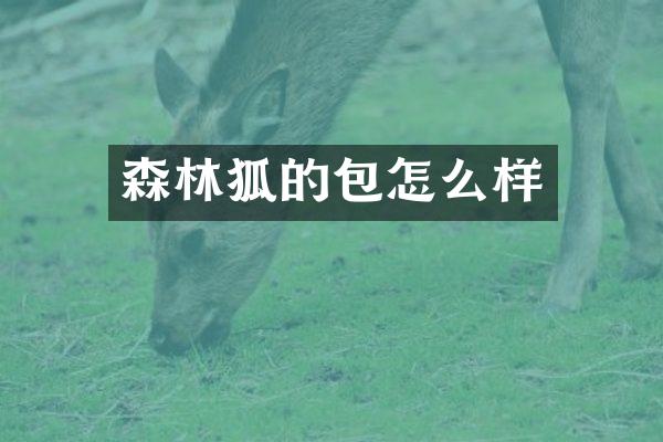 森林狐的包怎么样