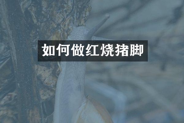 如何做红烧猪脚