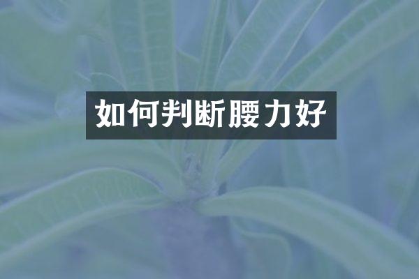 如何判断腰力好