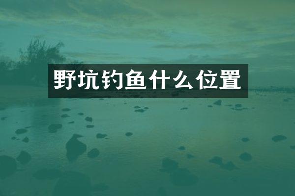野坑钓鱼什么位置