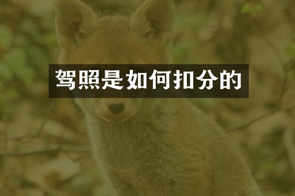 驾照是如何扣分的