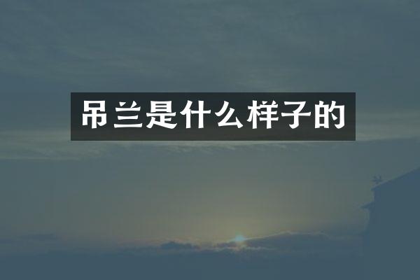 吊兰是什么样子的