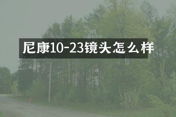 尼康10-23镜头怎么样
