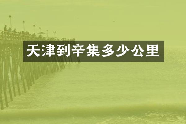 天津到辛集多少公里