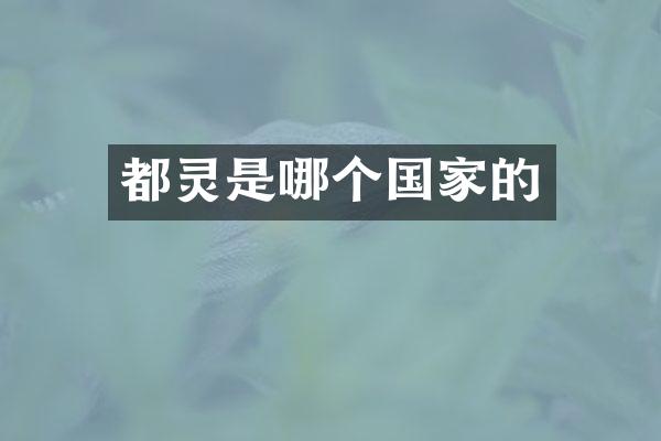 都灵是哪个国家的