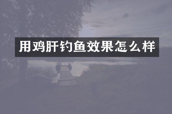 用鸡肝钓鱼效果怎么样