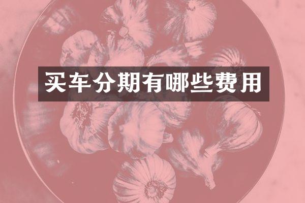 买车分期有哪些费用
