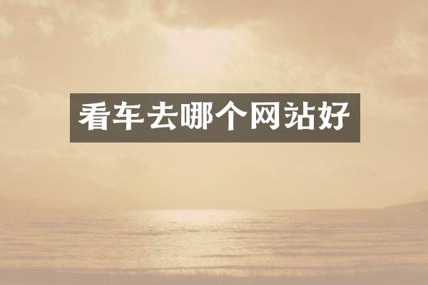 看车去哪个网站好