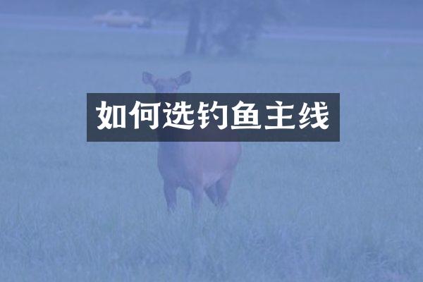 如何选钓鱼主线