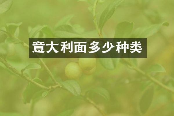 意大利面多少种类