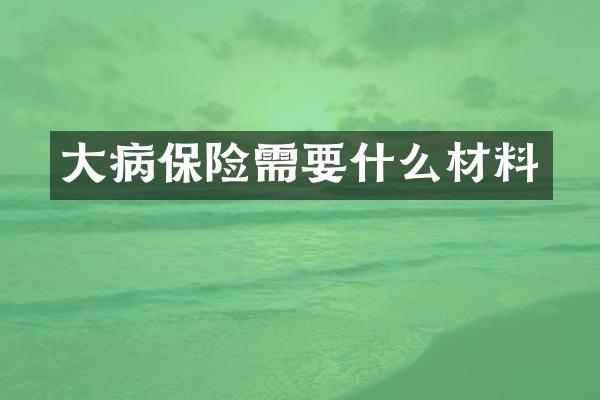 大病保险需要什么材料