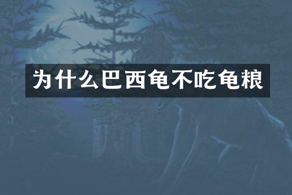 为什么巴西龟不吃龟粮