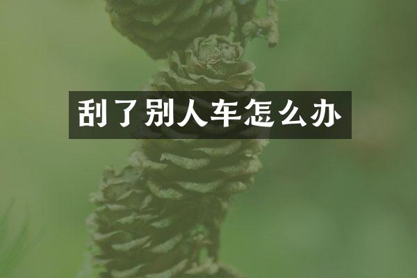 刮了别人车怎么办
