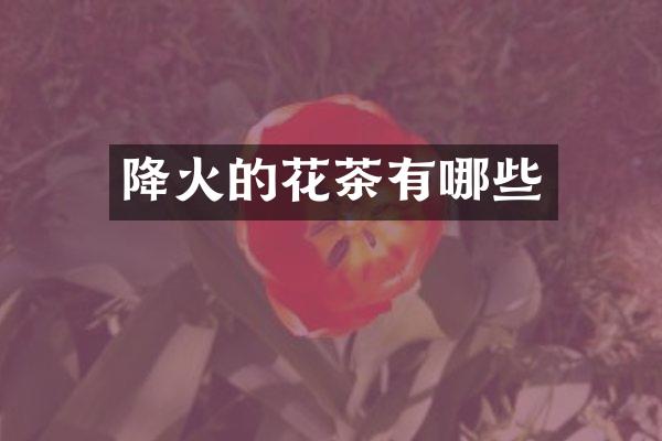 降火的花茶有哪些