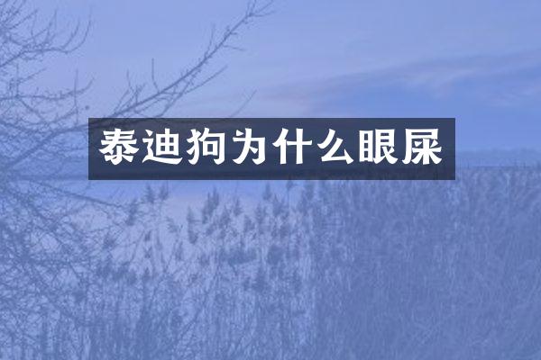 泰迪狗为什么眼屎