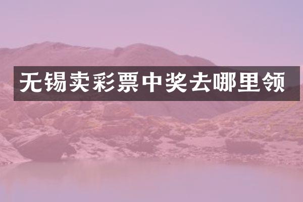 无锡卖彩票中奖去哪里领