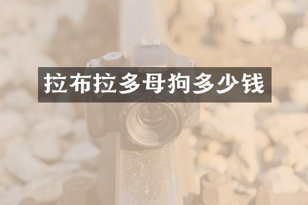 拉布拉多母狗多少钱