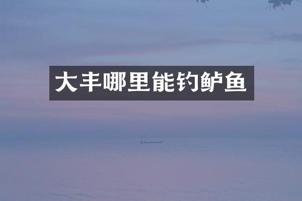 大丰哪里能钓鲈鱼
