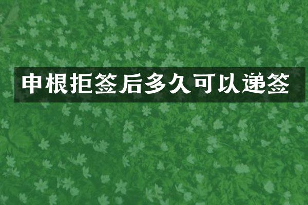 申根拒签后多久可以递签