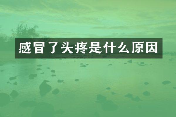 感冒了头疼是什么原因