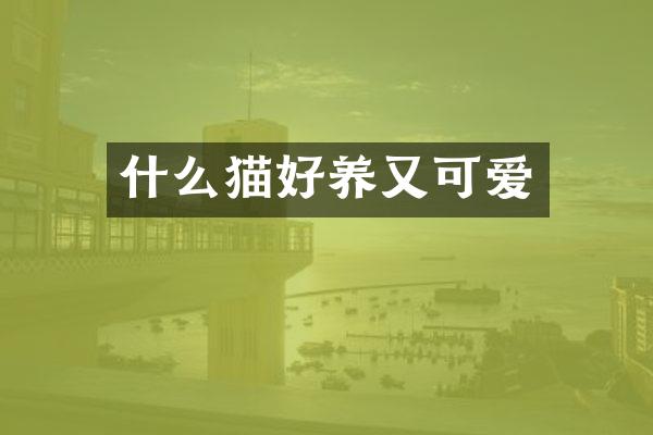 什么猫好养又可爱