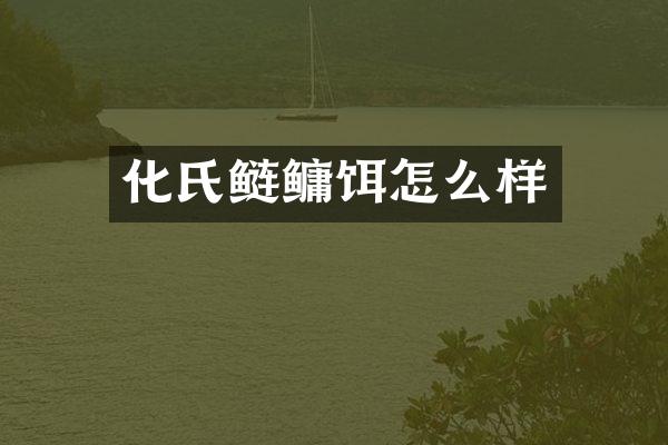 化氏鲢鳙饵怎么样