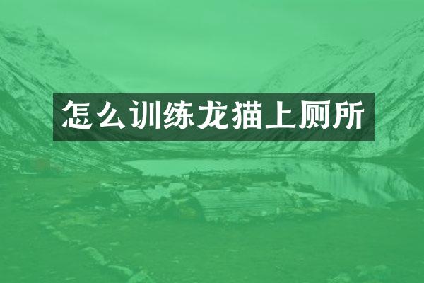 怎么训练龙猫上厕所