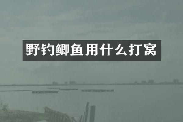 野钓鲫鱼用什么打窝