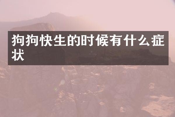 狗狗快生的时候有什么症状