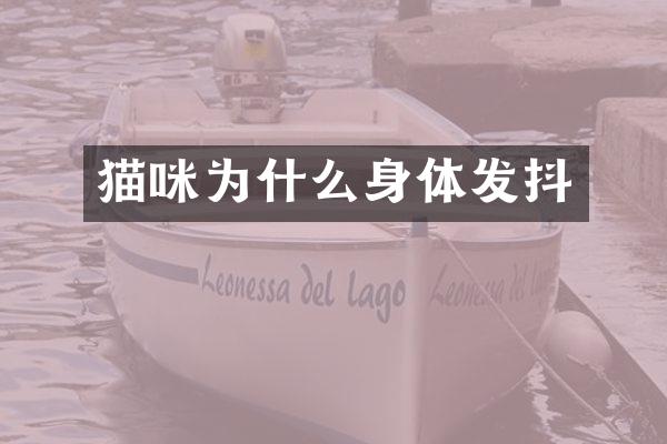 猫咪为什么身体发抖