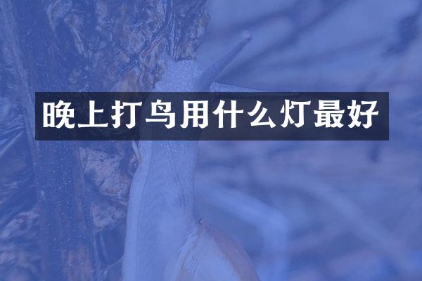晚上打鸟用什么灯最好