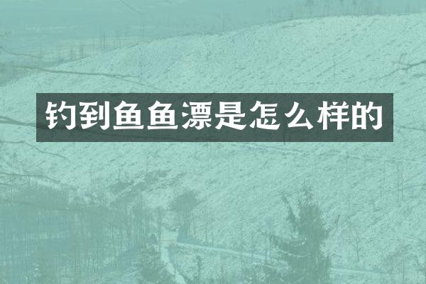 钓到鱼鱼漂是怎么样的