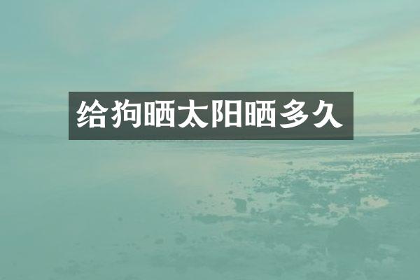 给狗晒太阳晒多久