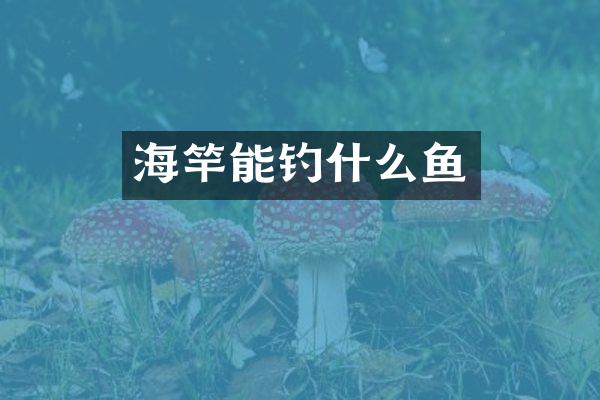 海竿能钓什么鱼