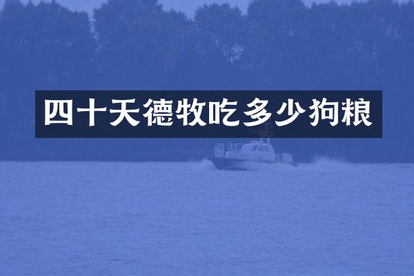 四十天德牧吃多少狗粮
