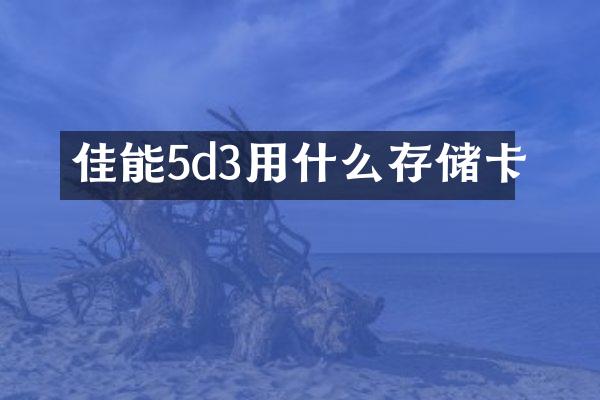 佳能5d3用什么存储卡