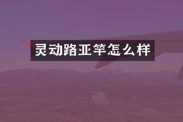 灵动路亚竿怎么样