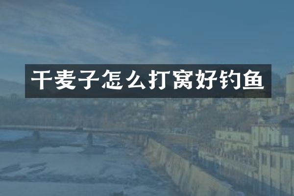 干麦子怎么打窝好钓鱼