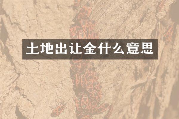 土地出让金什么意思