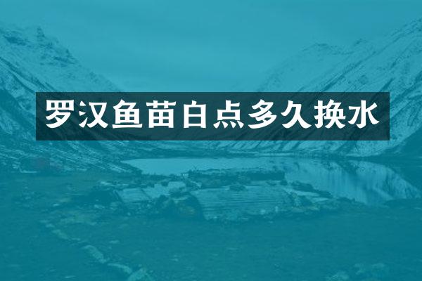 罗汉鱼苗白点多久换水