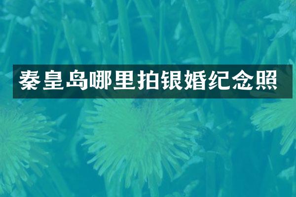 秦皇岛哪里拍银婚纪念照