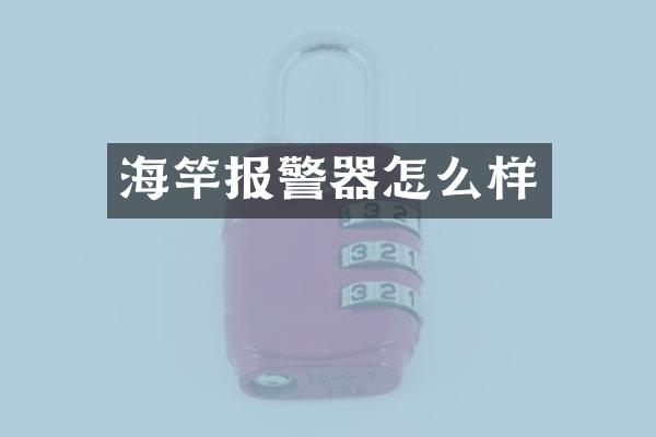 海竿报警器怎么样