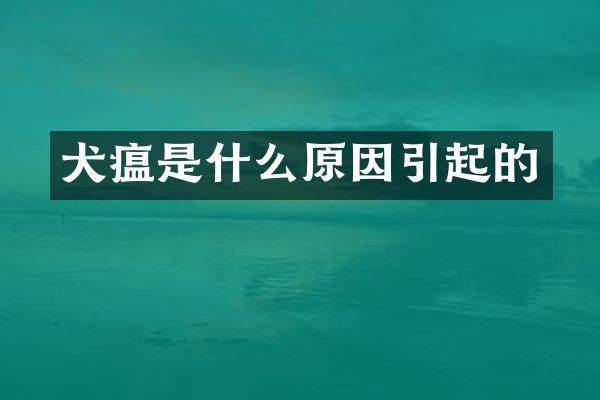 犬瘟是什么原因引起的