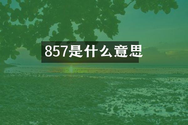 857是什么意思