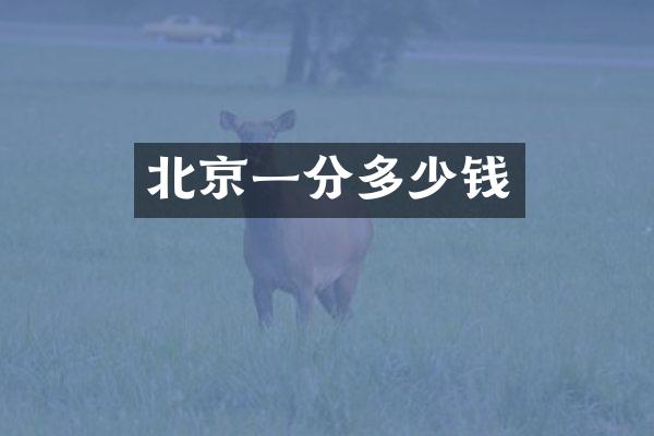 北京一分多少钱
