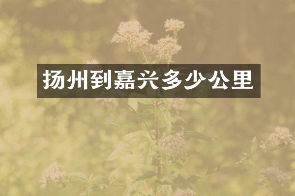 扬州到嘉兴多少公里