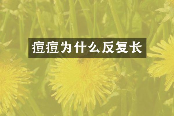 痘痘为什么反复长