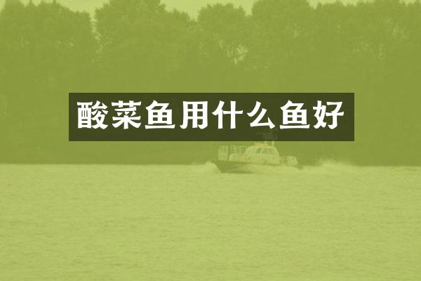 酸菜鱼用什么鱼好