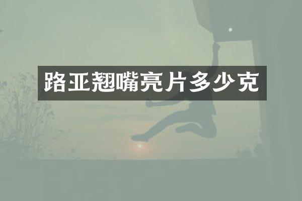 路亚翘嘴亮片多少克